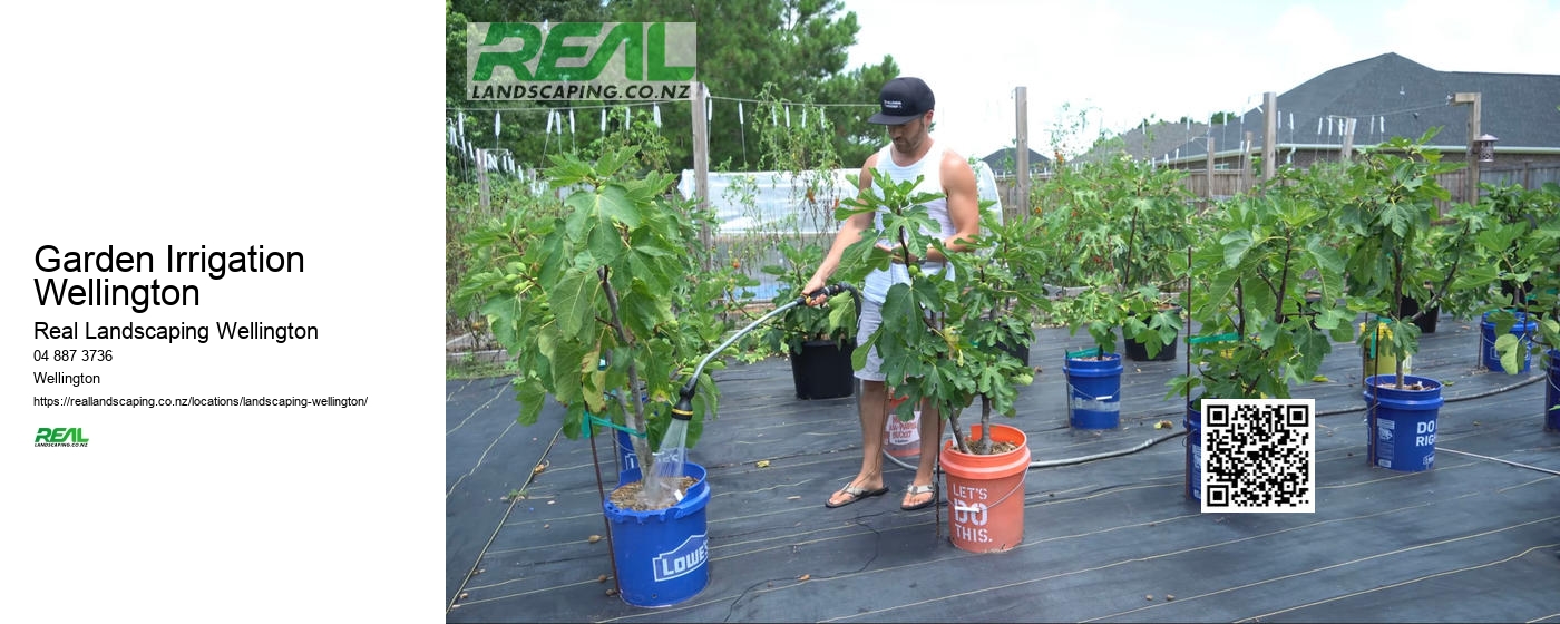 Wellington Garden Drought-tolerant Planting