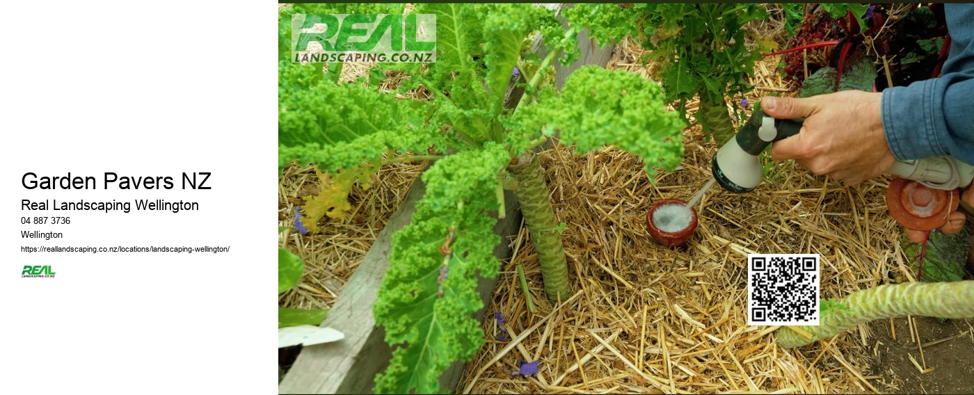 Garden Maintenance Wellington NZ