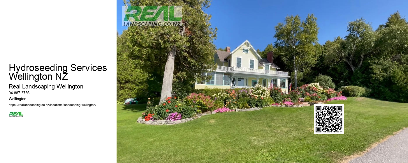 Hydroseeding Services Wellington NZ