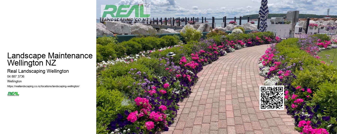 Landscape Maintenance Wellington NZ