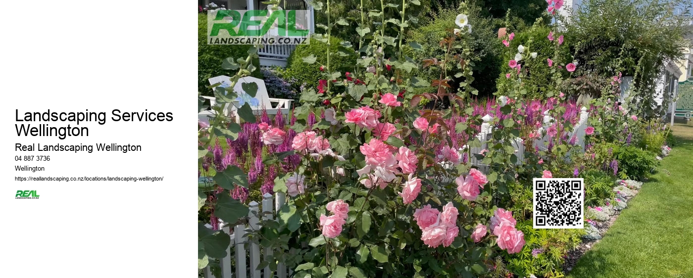 Drought-resistant Landscaping NZ