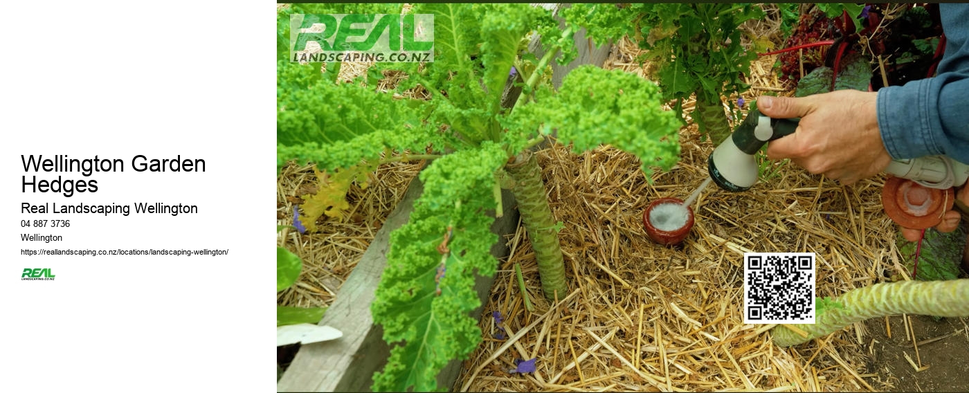 Wellington Eco-friendly Landscaping