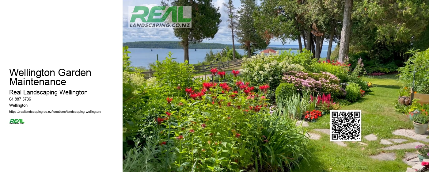 Wellington Garden Groundcover Planting