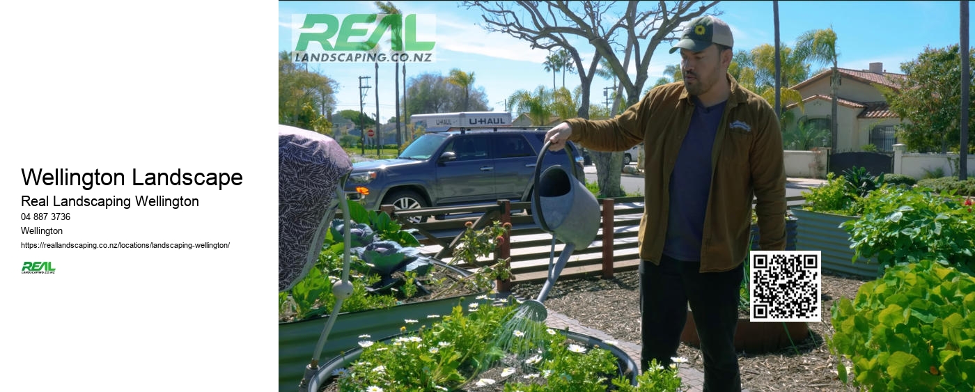 Drought-resistant Landscaping NZ