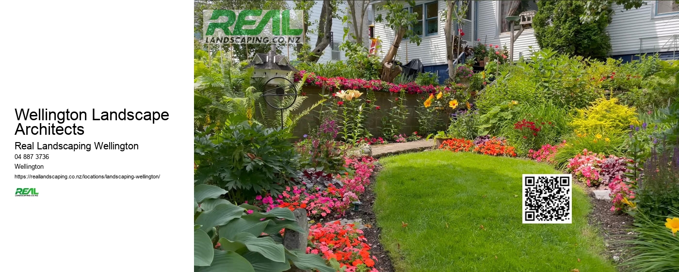 Landscaping Wellington NZ